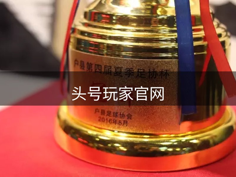 网站概况