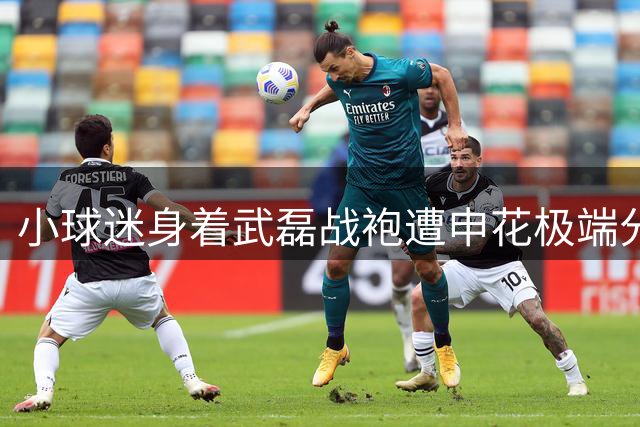 小球迷身着武磊战袍遭申花极端分子围攻 韩乔生发文痛斥